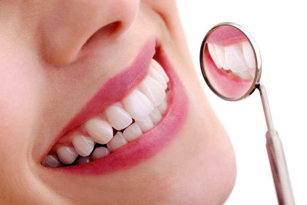 iStock 185331512 1024x683 1