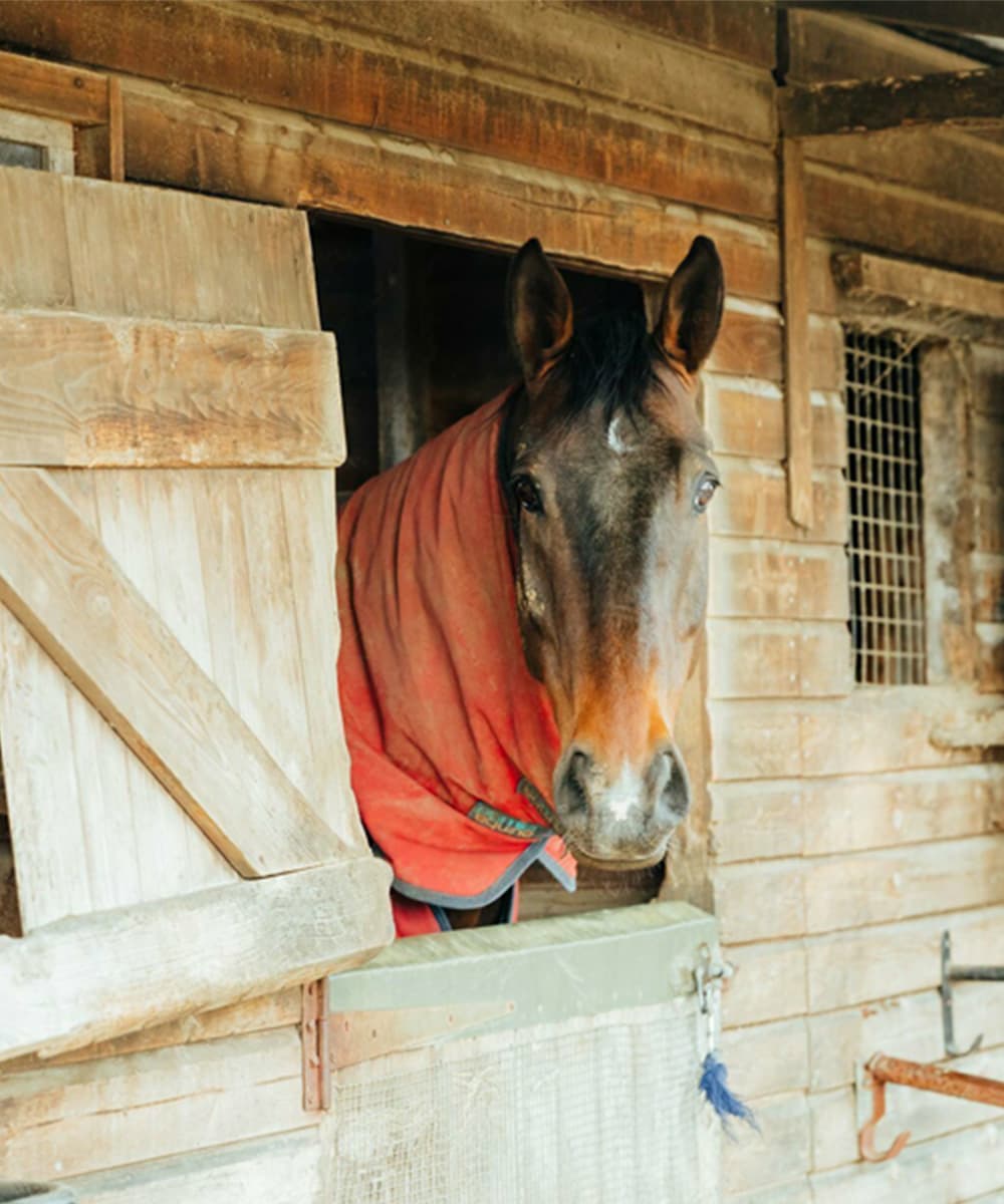 Book an appointment at The Old Stables