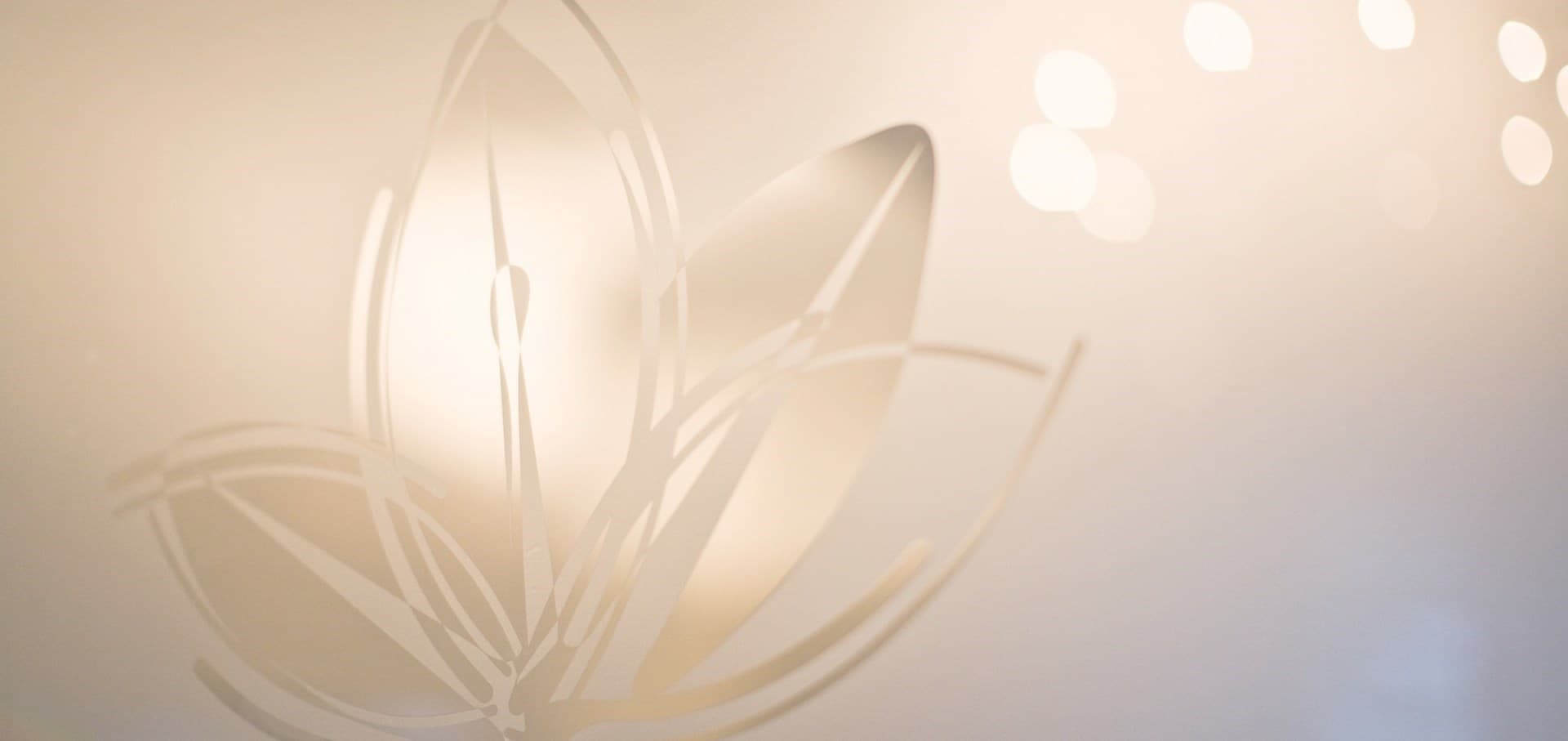 york place private dentist carlisle