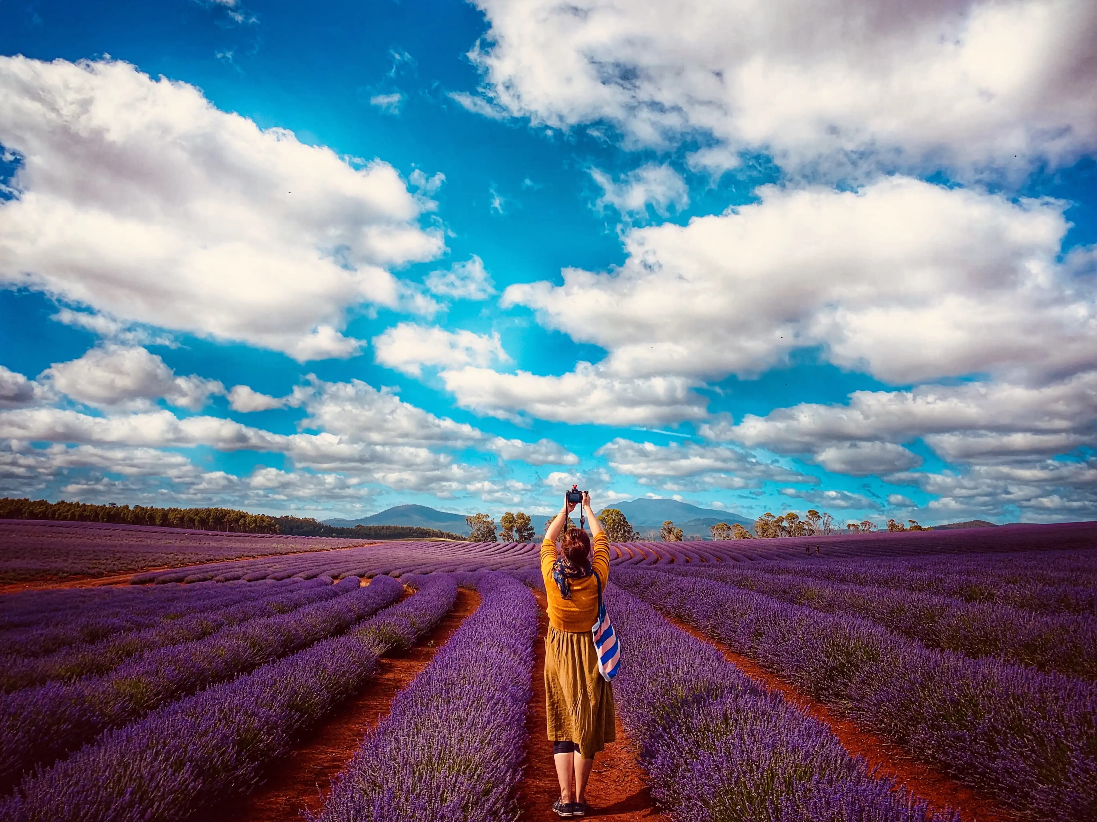 6044e80179a4815a33f0260d Purple%20Main%20Image