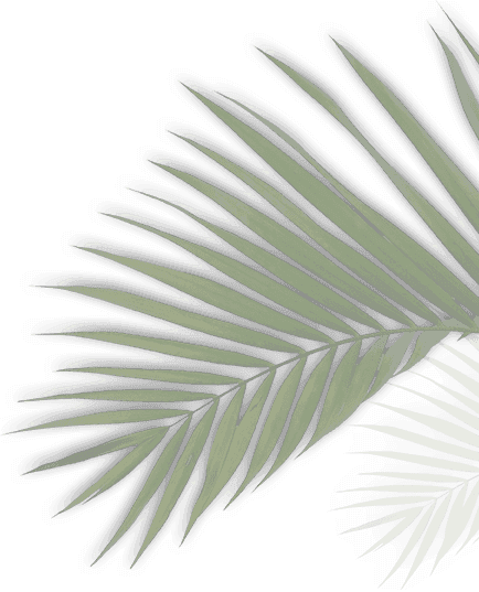 detier leaf1