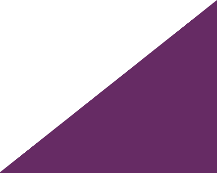 facier icon2