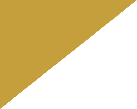 facier icon2