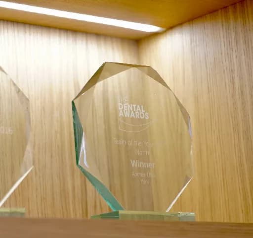 One of the Andrea Ubhi Dental Awards.