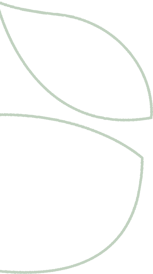 serBgShape